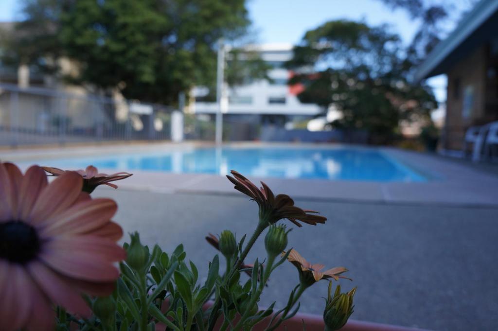 Panorama Motor Inn Нюкасъл Екстериор снимка